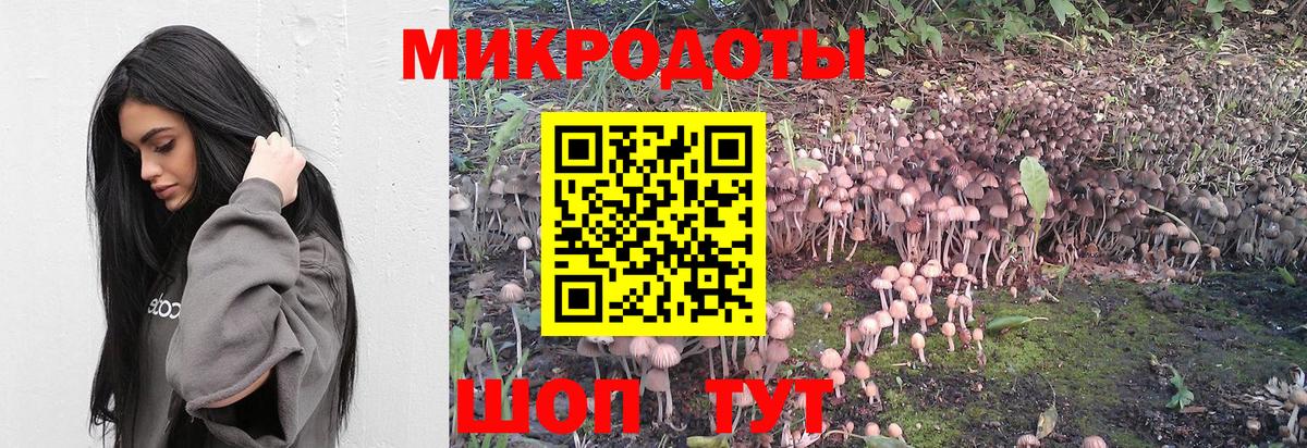 Галлюциногенные грибы прущие грибы Краснознаменск